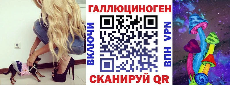 Псилоцибиновые грибы Psilocybe  где найти   Киренск 